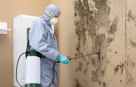  , USA Mold Removal Pros